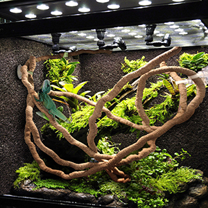 Decors for Habitat