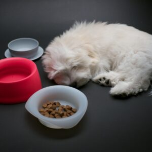 Pets Supplies