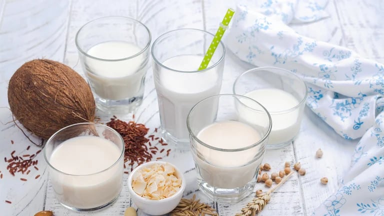 Milk And Dairy-Based Drinks
