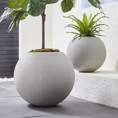 Pots & Planters