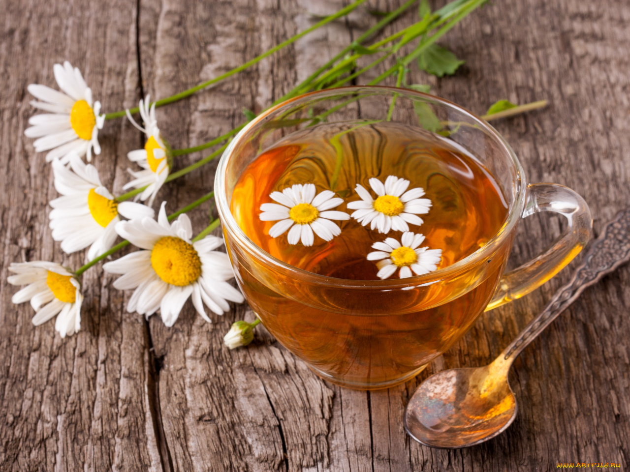 Chamomile Tea