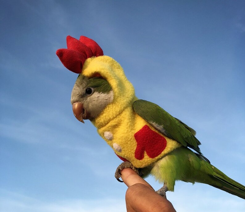 Personalized Bird Items