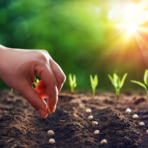 Gardening Supplies, Seeds & Soils