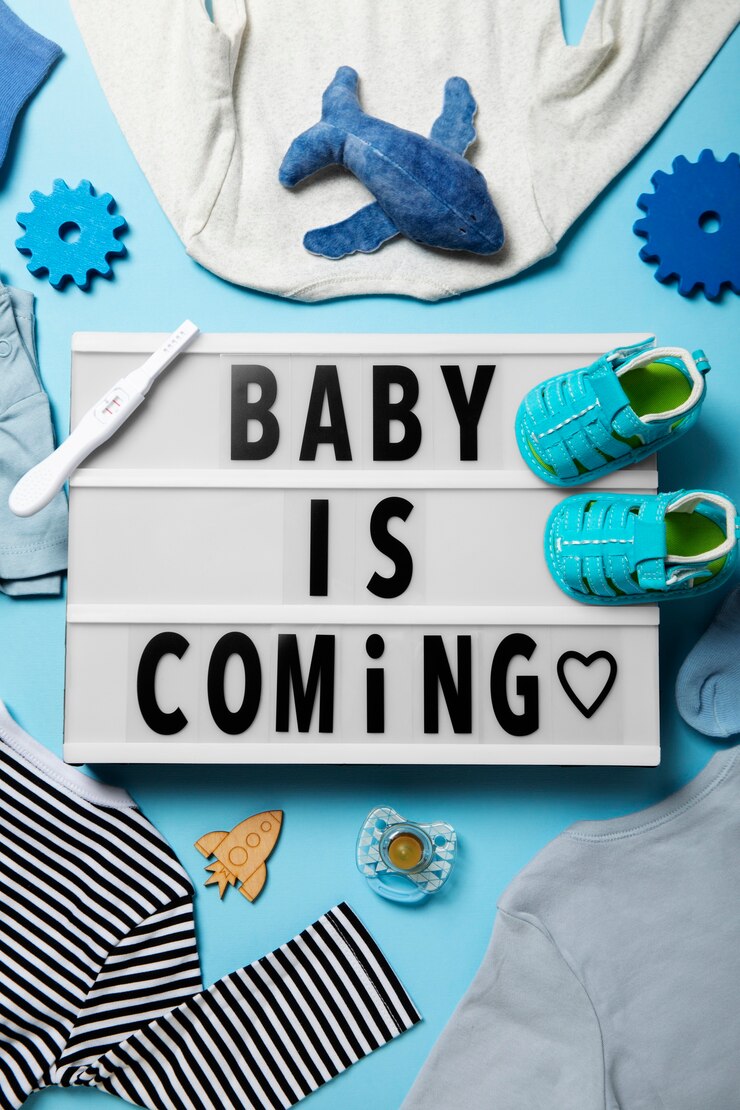 Baby Shower & Delivery Planner
