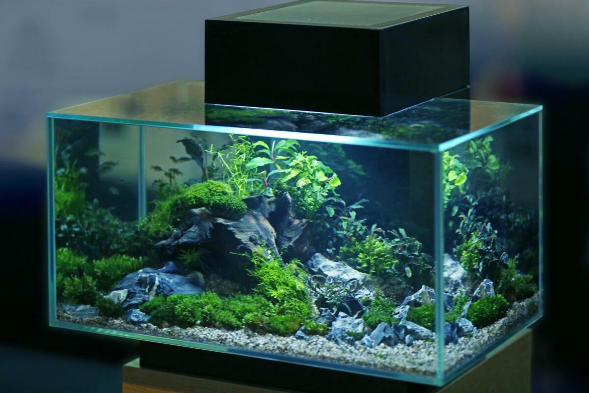 Pre-owned Aquariums & Accessories