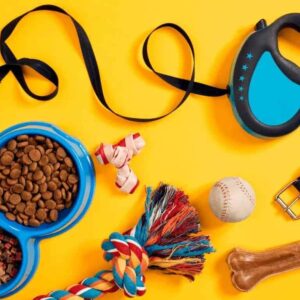 All Pets & Accessories