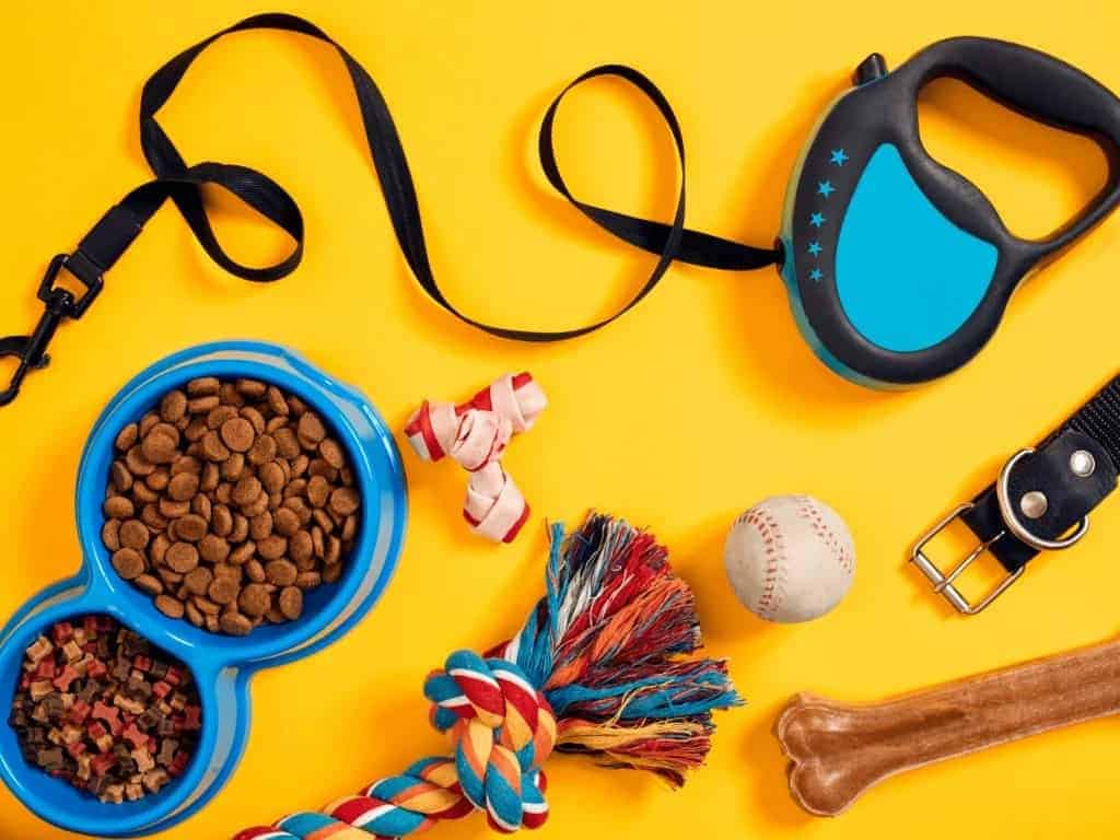 All Pets & Accessories