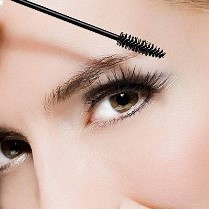 Eyelash Brush