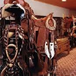 Horses Accessories