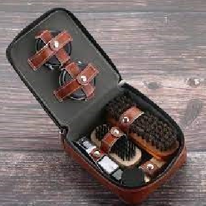 Shoe Polisher