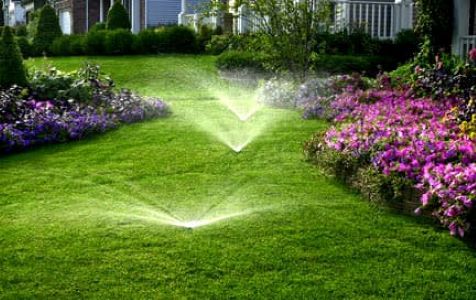 Watering & Irrigation
