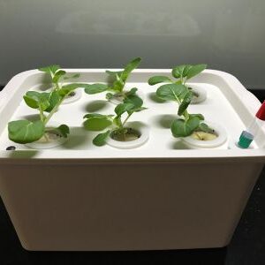Indoor Gardening Supplies