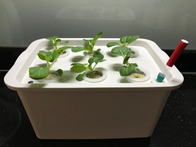 Indoor Gardening Supplies