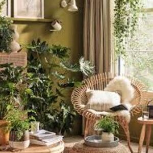 Indoor Garden Decor