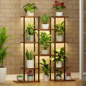 Indoor Plants Grow Lights
