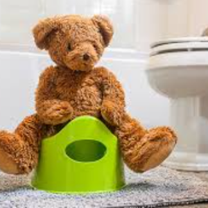 Seat & Toilets Potty Training
