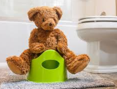 Seat & Toilets Potty Training