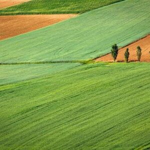Other Lands For Rent