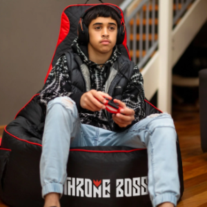 Gaming Beanbag