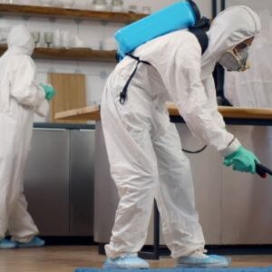 Pest Control Services