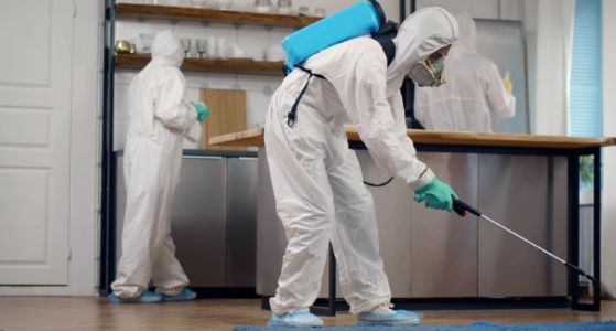 Pest Control Services