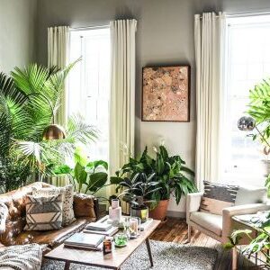 Indoor Plants & Greenery