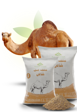 Camel Food